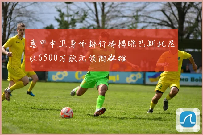 意甲中卫身价排行榜揭晓巴斯托尼以6500万欧元领衔群雄