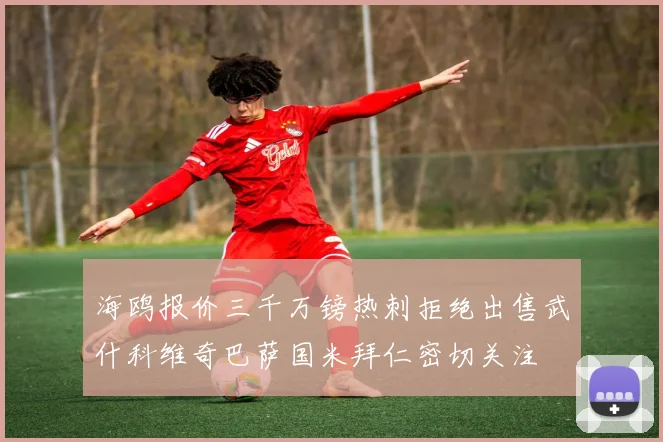 海鸥报价三千万镑热刺拒绝出售武什科维奇巴萨国米拜仁密切关注